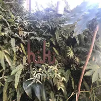 hiki cafe（ヒキカフェ）の写真・動画_image_251305