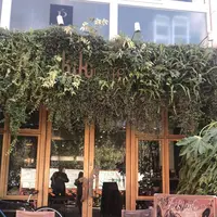 hiki cafe（ヒキカフェ）の写真・動画_image_251306