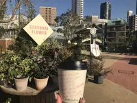 Little Darling Coffee Roasters（リトル ダーリン コーヒー ロースターズ）の写真・動画_image_251308