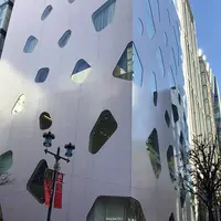 DAZZLEの写真・動画_image_251315