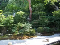 二尊院の写真・動画_image_251627