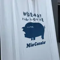 Mio Casalo 川越 蔵のまち店の写真・動画_image_252243