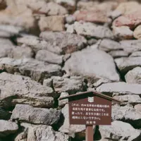 浜松城の写真・動画_image_252253