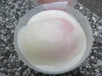 熱海プリンの写真・動画_image_252270