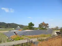 甍公園の写真・動画_image_252296