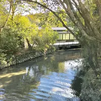 伊勢神宮の写真・動画_image_252600