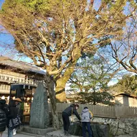 おかげ横丁の写真・動画_image_252606