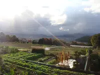 修学院離宮の写真・動画_image_25262