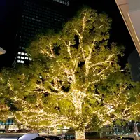 名古屋駅の写真・動画_image_252633