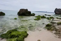 瀬底ビーチの写真・動画_image_252721