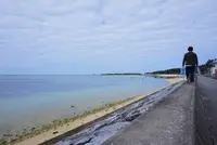 エメラルドビーチの写真・動画_image_252729