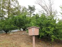 駿府城公園の写真・動画_image_252841