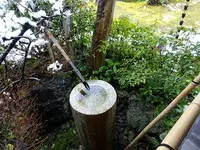 東林院の写真・動画_image_252896