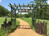 風のガーデンの写真・動画_image_252941