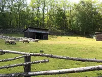 風のガーデンの写真・動画_image_252943