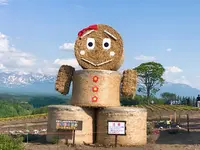 四季彩の丘の写真・動画_image_252948