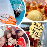 新江ノ島水族館の写真・動画_image_252990