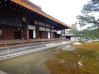 妙心寺の写真・動画_image_252995