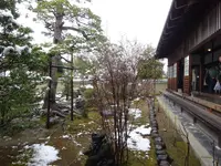 天球院の写真・動画_image_252999