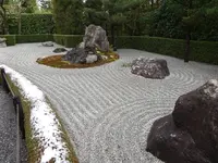 退蔵院の写真・動画_image_253006