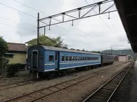 大井川鐵道　SL列車の写真・動画_image_253064