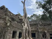 Ta Prohm（タ・プローム）の写真・動画_image_253240