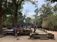 Ta Prohm（タ・プローム）の写真・動画_image_253244