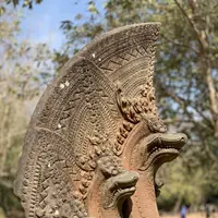 Beng Mealea（ベン・メリア）の写真・動画_image_253253
