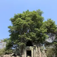 Beng Mealea（ベン・メリア）の写真・動画_image_253254