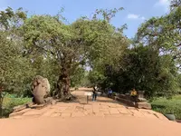 Beng Mealea（ベン・メリア）の写真・動画_image_253256