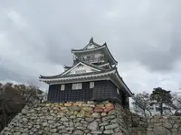 浜松城の写真・動画_image_253465