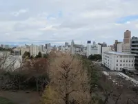 浜松城の写真・動画_image_253467