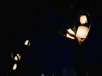 【閉業】白樺の丘の写真・動画_image_253668