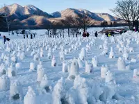 【閉業】白樺の丘の写真・動画_image_253681