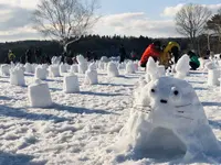 【閉業】白樺の丘の写真・動画_image_253682