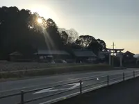若宮神社の写真・動画_image_253774