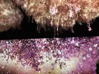 コレド室町2の写真・動画_image_253819