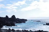 トウシキキャンプ場(野営場)の写真・動画_image_253987