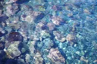 秋の浜遊泳場の写真・動画_image_254007