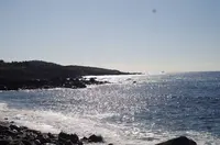 野田浜遊泳場の写真・動画_image_254011