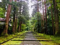 平泉寺白山神社の写真・動画_image_254197