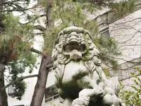 安江八幡宮の写真・動画_image_254282