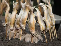 川口やなの写真・動画_image_254498