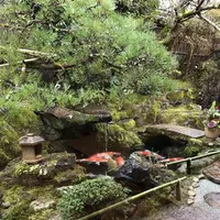 洛匠の写真・動画_image_254677