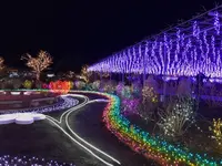 あしかがフラワーパークの写真・動画_image_254773