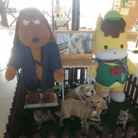 世界の名犬牧場の写真・動画_image_254792