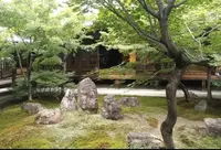 建仁寺の写真・動画_image_254823