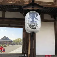 東寺（教王護国寺）の写真・動画_image_254889