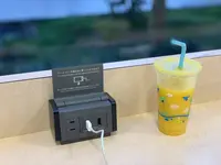 パームの写真・動画_image_254910