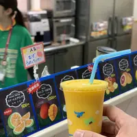 パームの写真・動画_image_254911